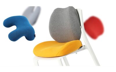 Ergonomic Accessories